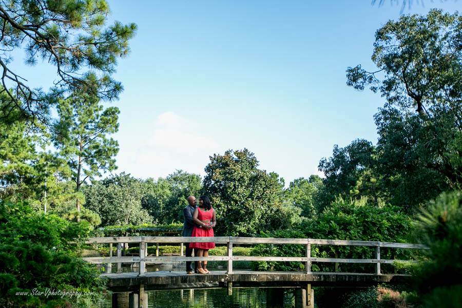 Indian Engagement photo at Japanese Garden